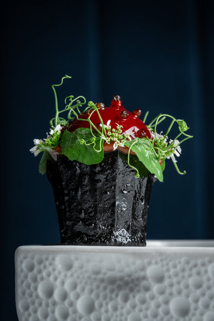 Food Photography Course: Become an Authority